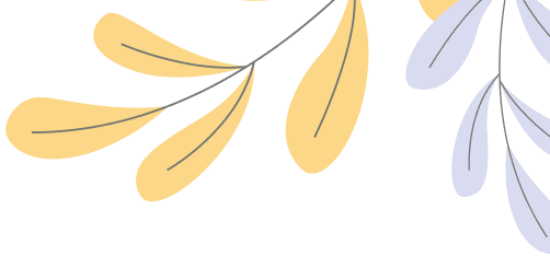 The best Laptop Collection